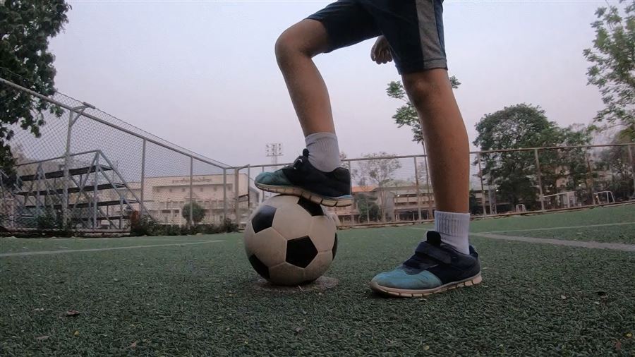 Video Panteras UVP